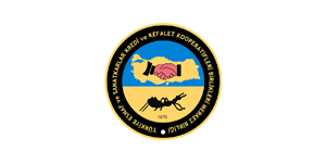 logo11